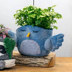 Bluebird Felt Pot