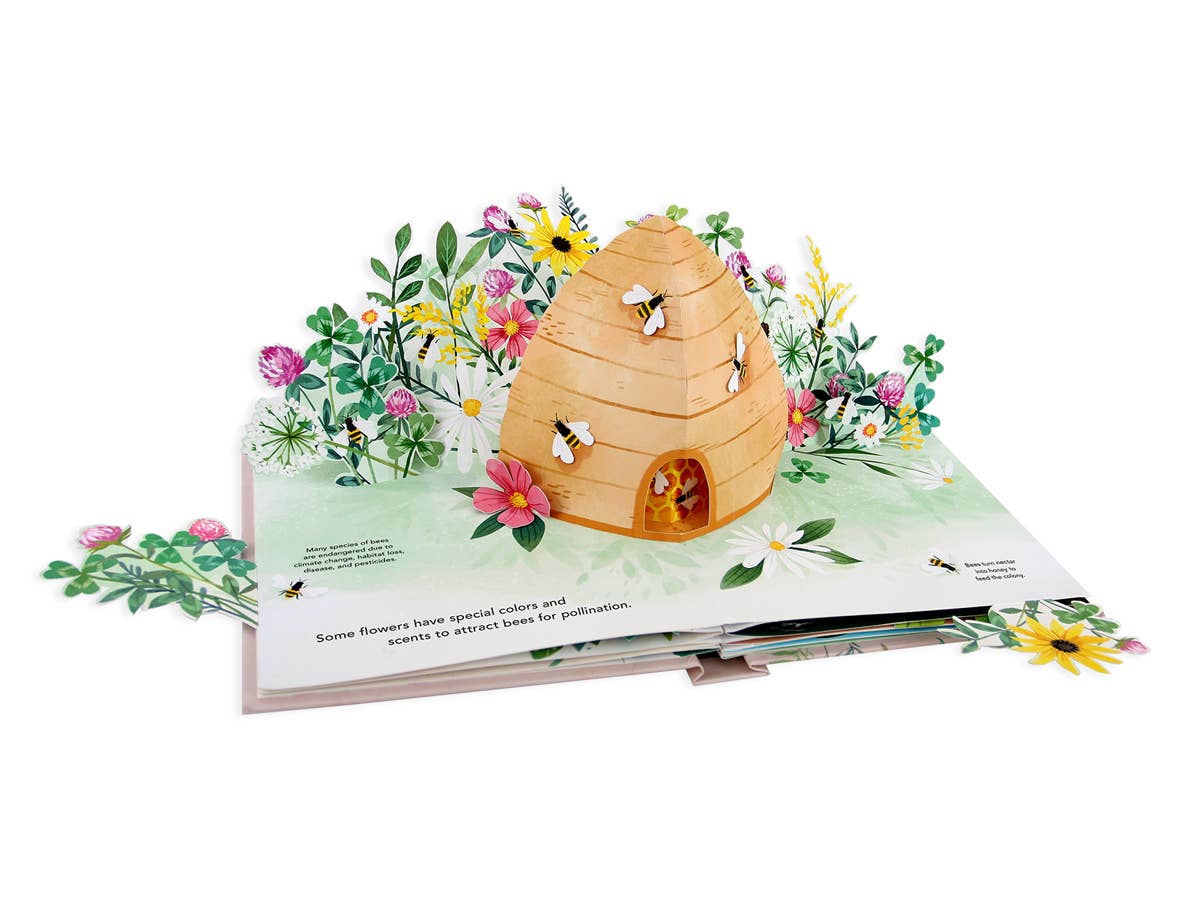 Pop-up Book | Flora Botanical