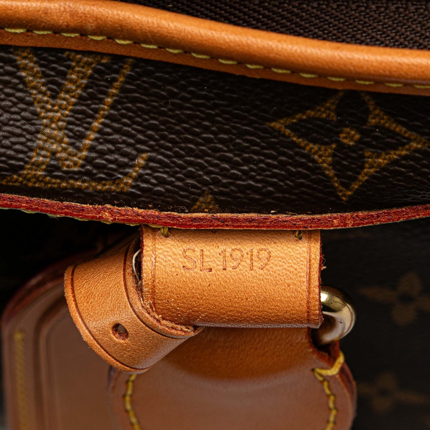 Louis Vuitton | Monogram Pet Carrier