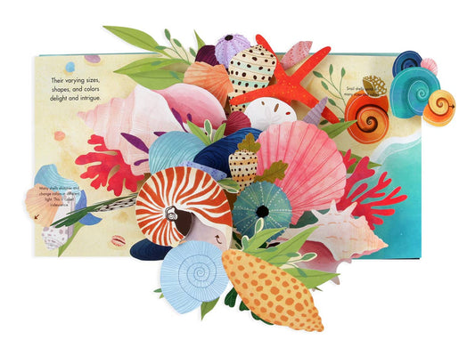 Pop-up Book   |    Shells Of Wonder