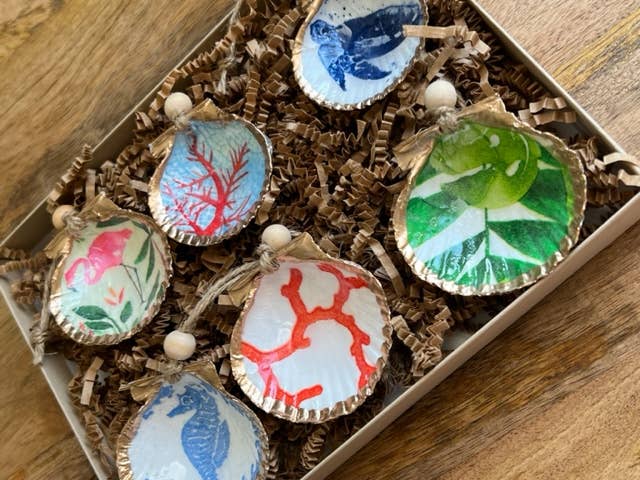 Coastal Mini Shell 6 Pack