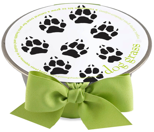Pet Bowl | Dog Grass | Pet Treat | Dog Gift: Dog Grass