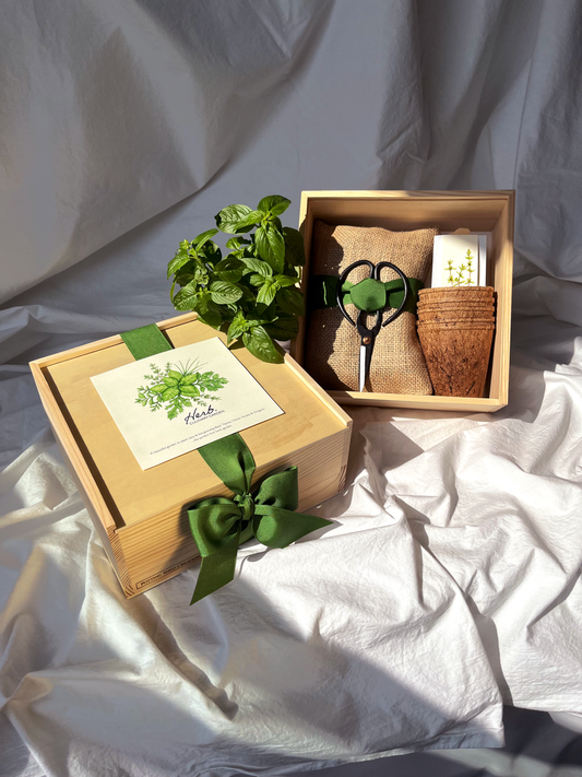 NEW Culinary Herb Garden Box | Holiday Gift for Gardeners
