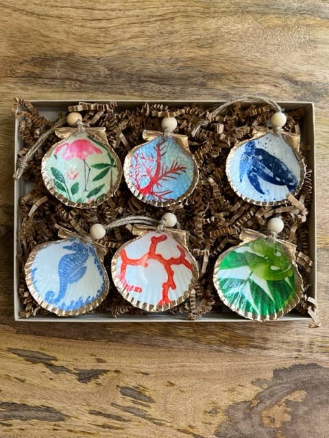 Coastal Mini Shell 6 Pack