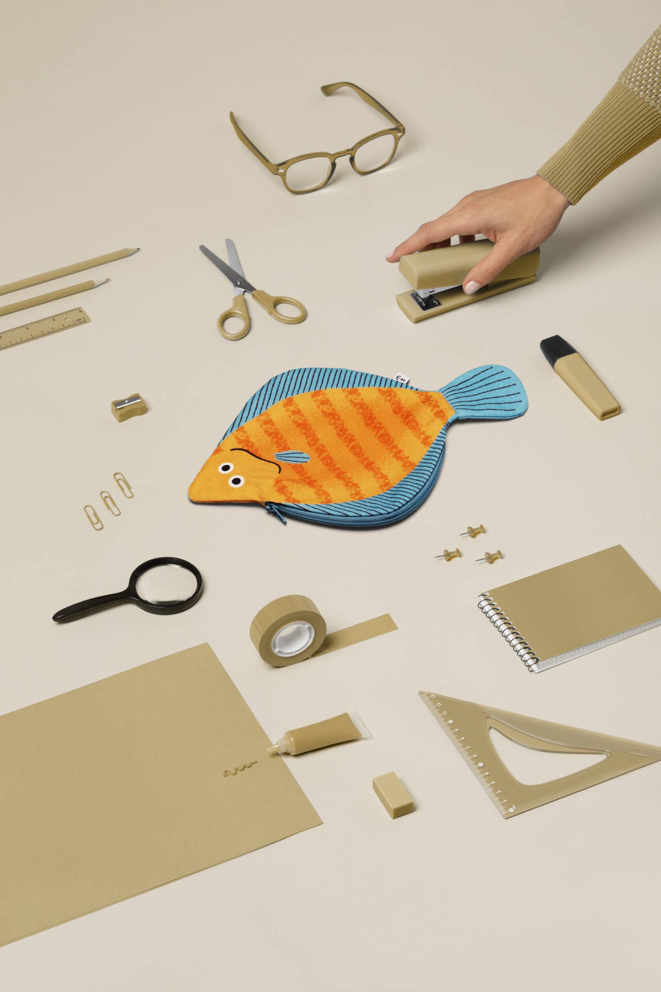 Don Fisher   |    Plaice case